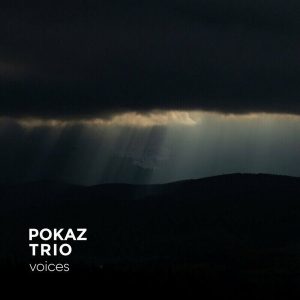 Pokaz Trio – Voices (LP)
