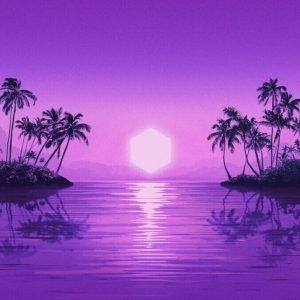 Purple Disco Machine – Paradise (2 LP)
