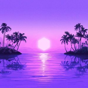 Purple Disco Machine – Paradise (Coloured) (2LP)