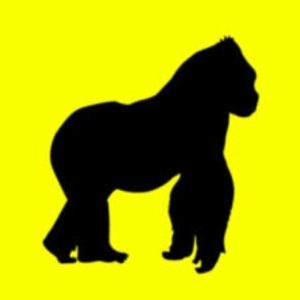 Rusowsky – Daisy (LImited Edition) (Yellow Coloured) (LP)