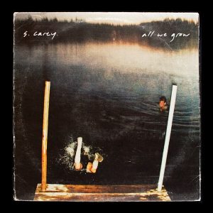 S. Carey – All We Grow (Deluxe Edition) (Seaglass Wave Translucent Coloured) (LP)