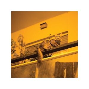 Sam Prekop – The Republic (Limited Edition) (LP)