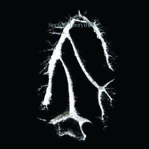Seefeel – Everything Squared (LP)