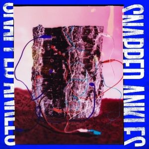 Snapped Ankles – Forest Of Your Problems (Limited Edition) (Coloured) (LP)