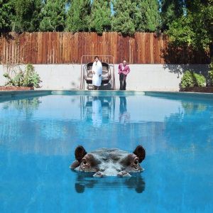 Sparks – Hippopotamus (Limited Edition) (2 LP)