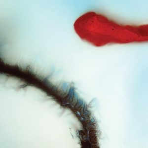 Stubborn Heart – Stubborn Heart (LP)
