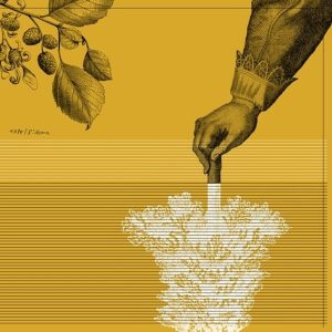 Tape – Rideau (Limited Edition) (LP)