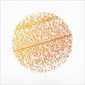 The Gathering – Beautiful Distortion (Coloured) (LP)