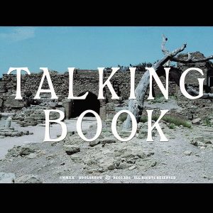 The Talking Book – Talking Book II (LP)