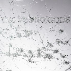 The Young Gods – Appear Disappear (LP + CD) (LP)