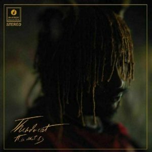 Thundercat – It Is What It Is (LP)