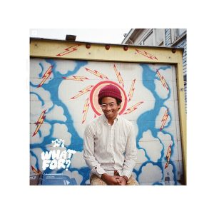 Toro Y Moi – What For? (Reissue) (LP)