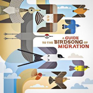 Various Artists – A Guide To The Birdsong Of Migration (LP)