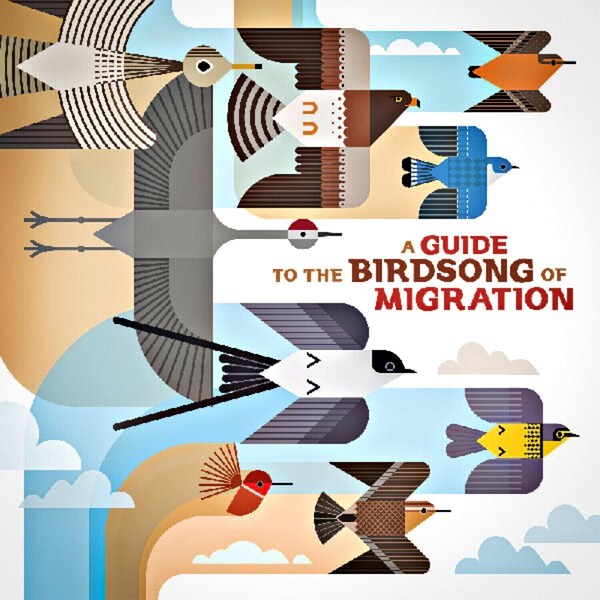 Various Artists – A Guide To The Birdsong Of Migration (LP)
