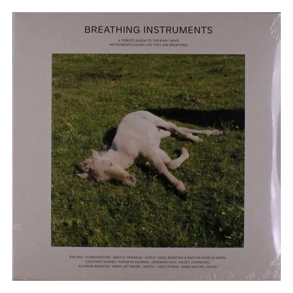Various Artists – Breathing Instruments (2 LP)