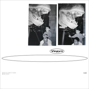 Vegyn – Only Diamonds Cut Diamonds (5th Anniversary Edition) (LP)
