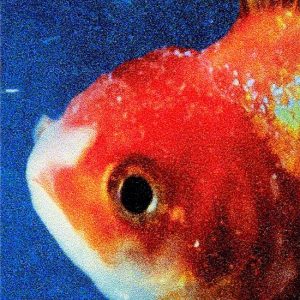 Vince Staples – Big Fish Theory (Picture Disc) (2LP)