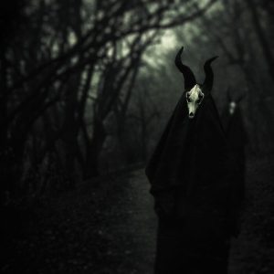 White Ward – Futility Report (LP)