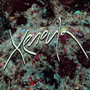 Xenoula – Xenoula (LP)