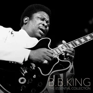 B.B. King - The Essential Collection (LP)